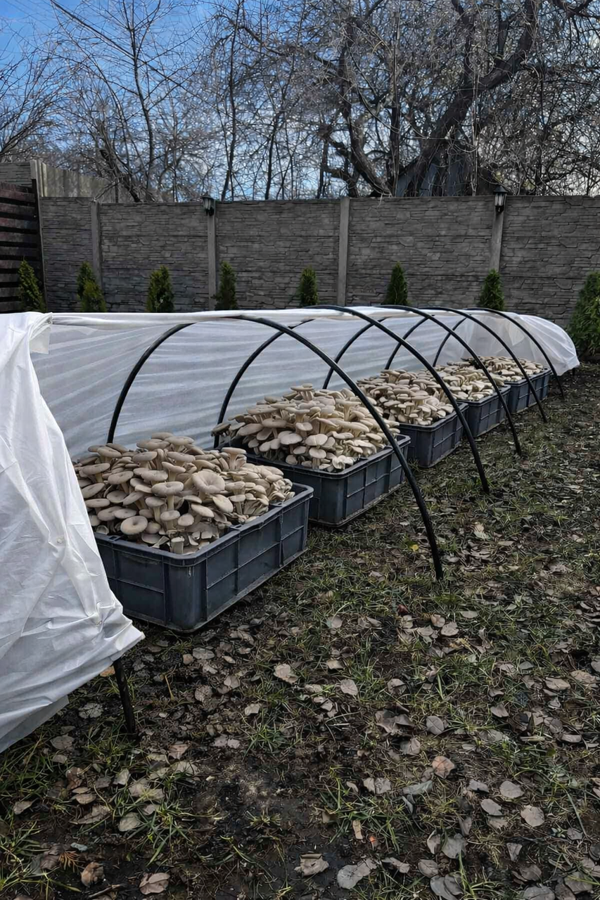 Для розсади парник ВЕСНА 12м 60 г/м² Міні-арочний - біле агроволокно